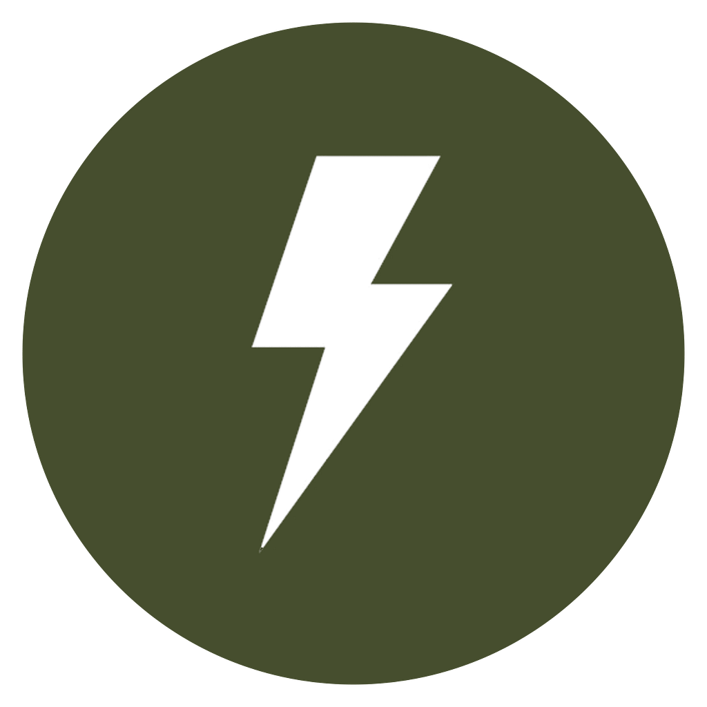 Lightning bolt icon in Jack Starkey-Gill brand colour scheme of olive green and white